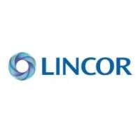 The lincor group
