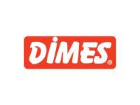 Dimes to dollars inc.