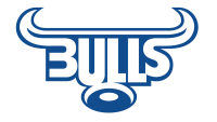 Blue bulls company (pty) ltd