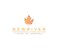 Newriver professional consulting