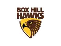 Box hill hawks football club
