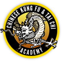 Chinese kungfu academy