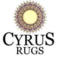 Cyrus persian rugs
