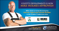 Colpitts developments