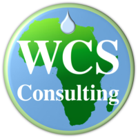 Wcs consulting
